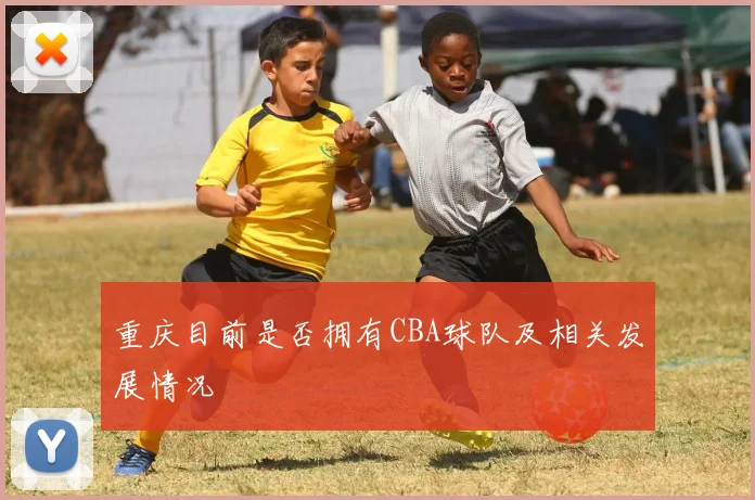 重庆目前是否拥有CBA球队及相关发展情况