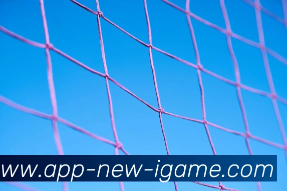 爱游戏APP全站App